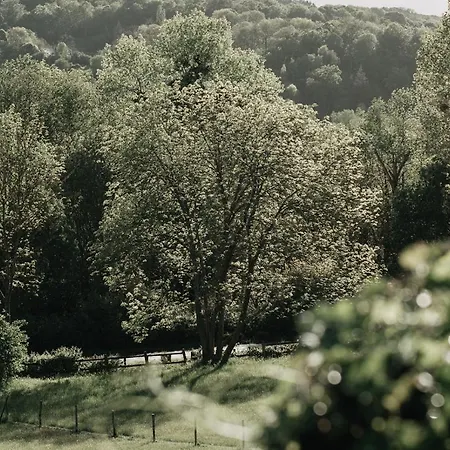 Guest house La Dime De - D'hotes-spa-restaurant