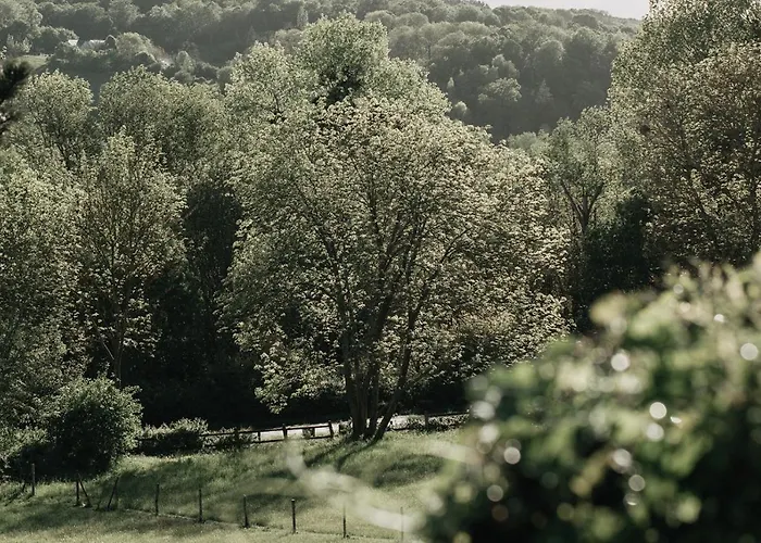 Гостевой дом La Dime De - D'hotes-spa-restaurant